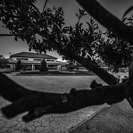 Feudo Degli Ulivi 4*