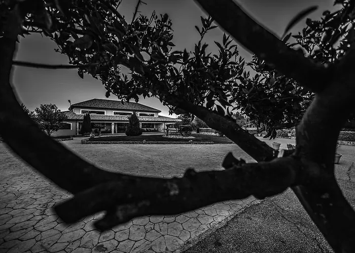 Feudo Degli Ulivi 4*